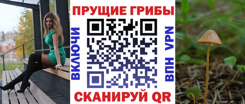 купить наркоту  Мценск  kraken ССЫЛКА  Псилоцибиновые грибы ЛСД 