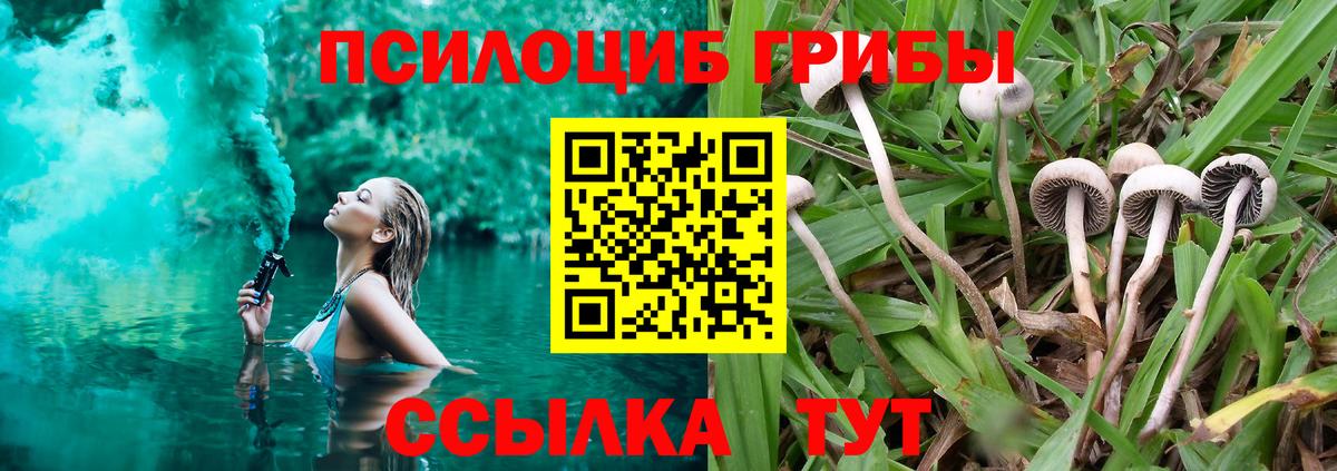 Псилоцибиновые грибы Psilocybine cubensis  Галлюциногенные грибы прущие грибы  Мценск 