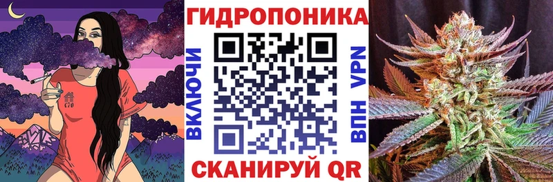 Бошки Шишки марихуана  Мценск 